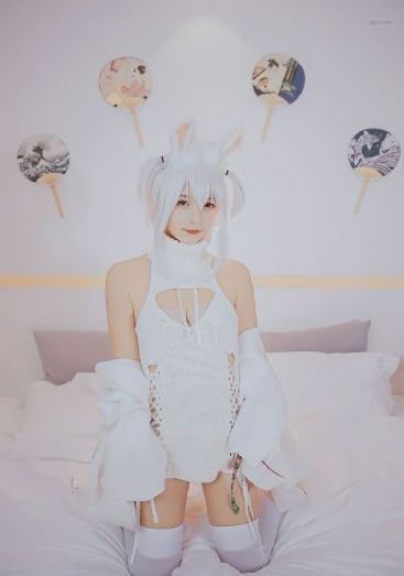 流星花园全集免费观看电视剧