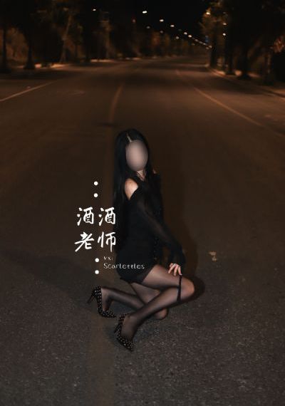 老婆大人是会长第二季