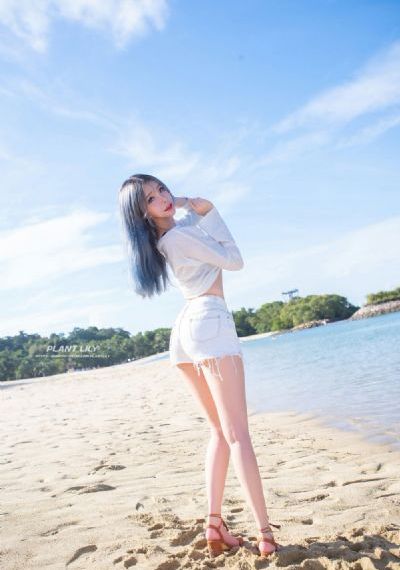 海贼王高清全集在线观看