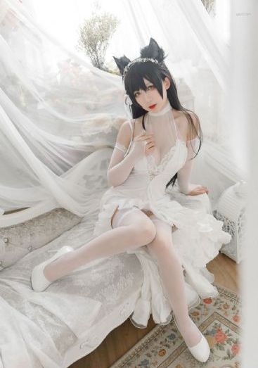 罗曼史是别册附录免费观看完整版
