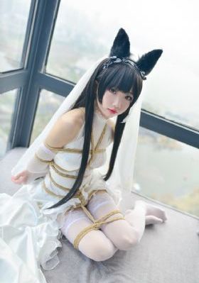 《解密》免费观看