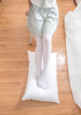 妖狐苏妲己