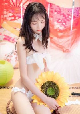 成年人免费看的视频